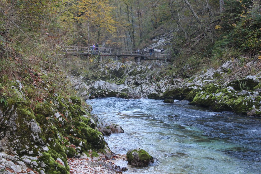 IMG_1942